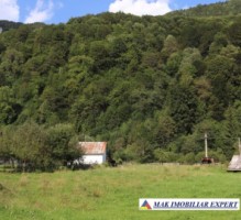 teren-intravilan-2428-mp-de-vanzare-rucar-satic-arges-1