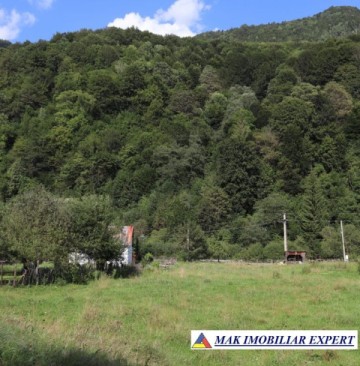 teren-intravilan-2428-mp-de-vanzare-rucar-satic-arges-4