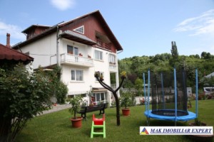 vila-8-camere-cu-teren-1200-mp-de-vanzare-in-apa-sarata-campulung-muscel-arges-18