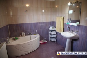 vila-8-camere-cu-teren-1200-mp-de-vanzare-in-apa-sarata-campulung-muscel-arges-13