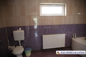 vila-8-camere-cu-teren-1200-mp-de-vanzare-in-apa-sarata-campulung-muscel-arges-14