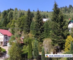 vand-teren-3257-mp-extrav-valea-cheii-dambovicioara-arges-8