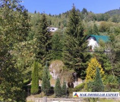 vand-teren-3257-mp-extrav-valea-cheii-dambovicioara-arges-11