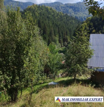 vand-teren-3257-mp-extrav-valea-cheii-dambovicioara-arges-10