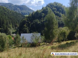 vand-teren-3257-mp-extrav-valea-cheii-dambovicioara-arges-14