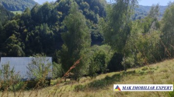 vand-teren-3257-mp-extrav-valea-cheii-dambovicioara-arges-13