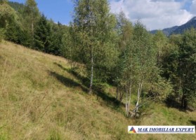 vand-teren-3257-mp-extrav-valea-cheii-dambovicioara-arges-17