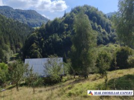 vand-teren-3257-mp-extrav-valea-cheii-dambovicioara-arges-16
