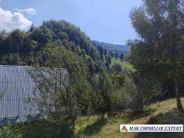 vand-teren-3257-mp-extrav-valea-cheii-dambovicioara-arges-15