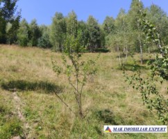 vand-teren-3257-mp-extrav-valea-cheii-dambovicioara-arges-23