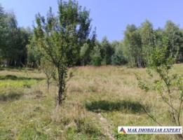 vand-teren-3257-mp-extrav-valea-cheii-dambovicioara-arges-22