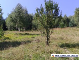 vand-teren-3257-mp-extrav-valea-cheii-dambovicioara-arges-24