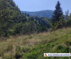 vand-teren-3257-mp-extrav-valea-cheii-dambovicioara-arges-25