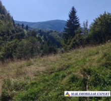 vand-teren-3257-mp-extrav-valea-cheii-dambovicioara-arges-27