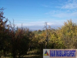 teren-5000-casa-4-camere-chilii-campulung-muscel-arges-10