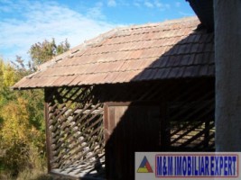 teren-5000-casa-4-camere-chilii-campulung-muscel-arges-6