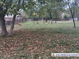 teren-3394-mp-intravilan-de-vanzare-in-stalpeni-arges-1