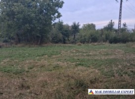 teren-3394-mp-intravilan-de-vanzare-in-stalpeni-arges-3