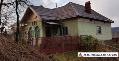 vand-casa-7-camere-si-3500-mp-teren-in-schitu-golesti-arges