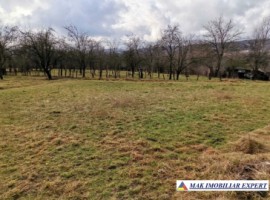 vand-casa-7-camere-si-3500-mp-teren-in-schitu-golesti-arges-5