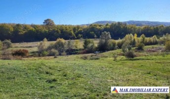 teren-l-2-teren-7500-mp-intraextra-schitu-golesti-arges-1