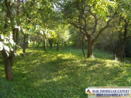 vila-3-camere-teren-5393-mp-apa-sarata-campulung-muscel-14