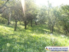 vila-3-camere-teren-5393-mp-apa-sarata-campulung-muscel-15