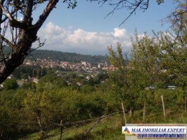 vila-3-camere-teren-5393-mp-apa-sarata-campulung-muscel-16