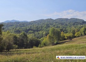 teren-2262-mp-extravilan-de-vanzare-in-nucsoara-arges