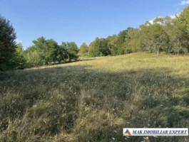 teren-2262-mp-extravilan-de-vanzare-in-nucsoara-arges-4