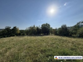 teren-2262-mp-extravilan-de-vanzare-in-nucsoara-arges-5