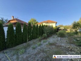 vand-vila-3-camere-teren-3200-mp-poienari-de-muscel-arges-5