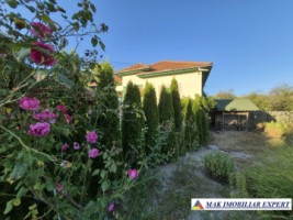 vand-vila-3-camere-teren-3200-mp-poienari-de-muscel-arges-4