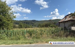 teren-3600-mp-extravilan-de-vanzare-in-hartiesti-arges