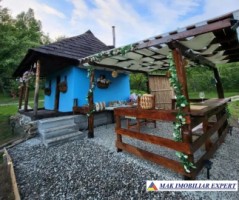 de-vanzare-complex-de-4-case-teren-31-ha-in-corbi-arges-20