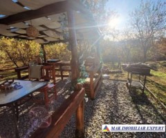 de-vanzare-complex-de-4-case-teren-31-ha-in-corbi-arges-21