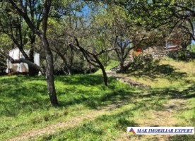 de-vanzare-complex-de-4-case-teren-31-ha-in-corbi-arges-25