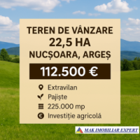 vand-teren-22-5-ha-extravilan-in-nucsoara-arges