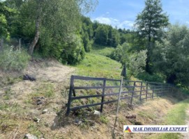 vand-teren-5137-mp-intra-extravilan-bradulet-piatra-arges-1