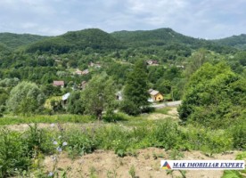 vand-teren-5137-mp-intra-extravilan-bradulet-piatra-arges-2