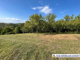 teren-3000-mp-extrav-v-romanestilor-campulung-muscel-arges