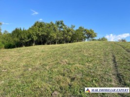 teren-3000-mp-extrav-v-romanestilor-campulung-muscel-arges-1