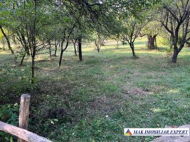 teren-3000-mp-extrav-v-romanestilor-campulung-muscel-arges-3