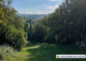 teren-3000-mp-extrav-v-romanestilor-campulung-muscel-arges-4