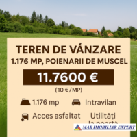 teren-intra-extraviran-1176-mp-poienarii-de-muscel-arges