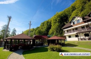 pensiune-15-camere-teren-1728-mp-bradulet-arges-9