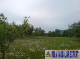 teren-9048-mp-intraextravilan-bughea-de-sus-arges-1