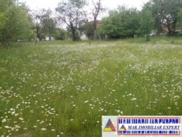teren-9048-mp-intraextravilan-bughea-de-sus-arges-6