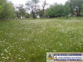 teren-9048-mp-intraextravilan-bughea-de-sus-arges-10