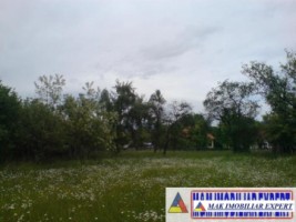 teren-9048-mp-intraextravilan-bughea-de-sus-arges-11